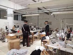 一只老鼠引發的法律風暴 意大利華人老板娘被捕背后的警示